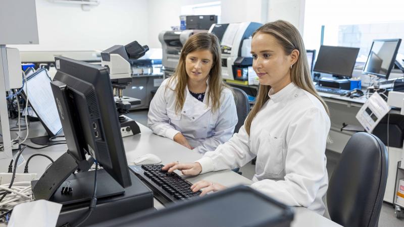 Lab