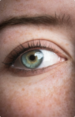 Close up image of the human eye.